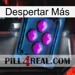 Despertar Más 04